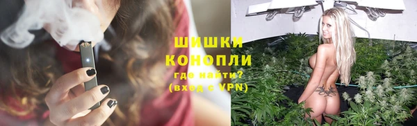 дживик Сосновка
